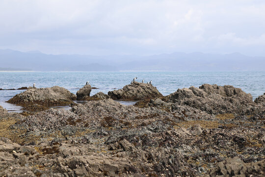 Pazifikk&uuml;ste Neuseeland / Pacific coast Bay New Zealand /