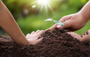 Obraz premium Father and children hands planting young plant together over sunlight and green background.