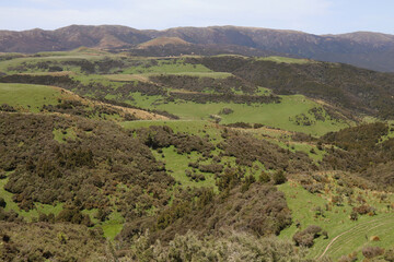 Fototapeta premium Neuseeland - Landschaft Mangaohane Gegend / New Zealand - Landscape Mangaohane Area /