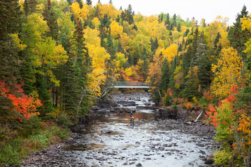 Fly fishermen fish trout on the Brule River in northern Minnesota on a beautiful fall day - obrazy, fototapety, plakaty