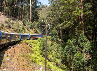 Bahnfahrt von Nuwara Eliya Nanuoya nach Ella die wohl schönste Bahnstrecke der Welt, vorbei an Teefelder und riesige Berge
