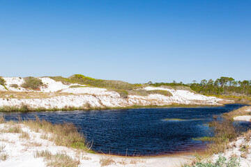 Fototapeta na wymiar Fresh water lake among the sand dunes along Gulf of Mexico