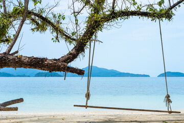Old swing hanging on a tree on sandy beach, blue sea and sky background.