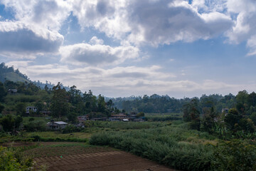 Obraz premium Bahnfahrt von Nuwara Eliya Nanuoya nach Ella die wohl schönste Bahnstrecke der Welt, vorbei an Teefelder und riesige Berge 