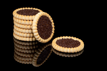 Chocolate chips jam cookies and hazelnut kernels on a black mirror