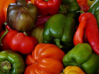 Bunte Paprika - rot, orange, grün