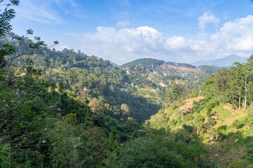 Fototapeta na wymiar Ella Natur Paradies auf Sri Lanka