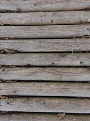 Top view of logs of a tree on the ground © Liga Kalnina/Wirestock