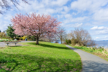 Spring Along Washington Lake 8