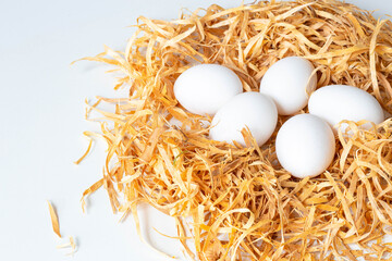 white chicken eggs lie in a nest of wood shavings on a white background
