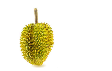 Monthong Durian