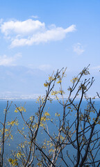 Lakeside view 3 (dali, yunnan, china)