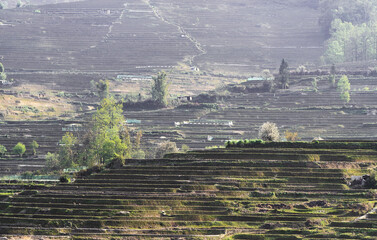A mountain full of terraced fields (yuan yang terraces, yunnan, china)