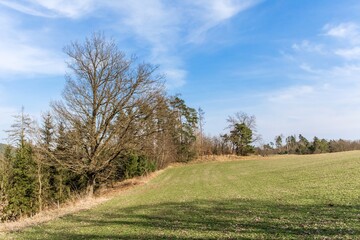 Landscape in the countryside in the Czech Republic. Agricultural landscape in spring. Sunny spring day in the countryside