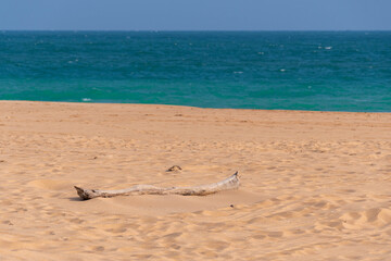 Fototapeta na wymiar Tangalle am Strand von Sri Lanka 