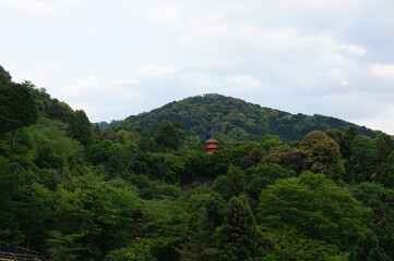 Fototapeta premium kyoto
