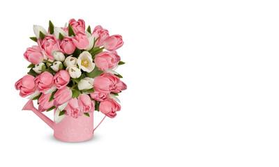 Bouquet of white pink tulips in pots isolated​ on​ white​ background​ with​ clipping​ path​