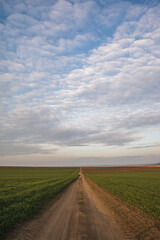Dirt road through farm fields