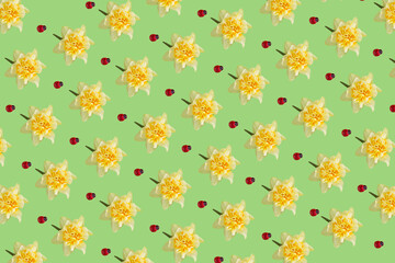 Creative pattern with yellow narcissus flower and red ladybug on green background. Minimal nature spring flat lay concept.