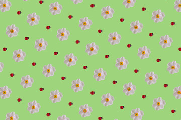 Creative pattern with white narcissus flower and red ladybug on green background. Minimal nature spring flat lay concept.