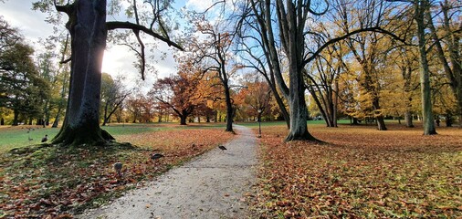 autumn in the park