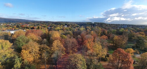 Fototapeta premium autumn in the mountains