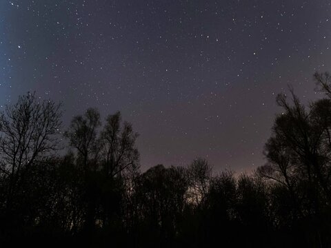 Sterne bewegen sich scheinbar kreisf&ouml;rmig um den Polarstern

