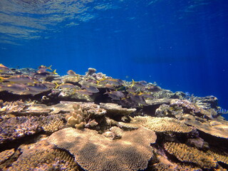 DCIM\100GOPRO\GOPR1193.JPG