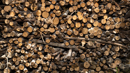 Cut wood, make firewood, use it to cook rice