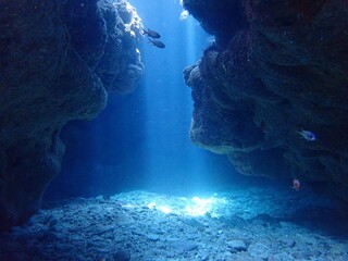 Okinawa's blue sea and caves
沖縄の青い海の洞窟ダイビング水中写真