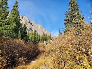 landscape in the mountains