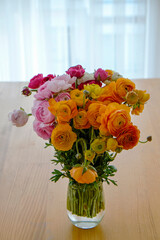 Close up shot of wooden dining table with beautiful ranunculuses in glass vase. A bouquet of mixed persian buttercup flowers in soft natural light from a window. Copy space, close up, background.