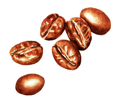 Coffee beans, watercolor 3.1
