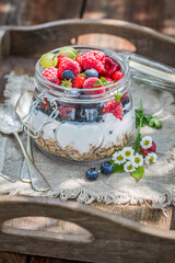 Berries and yogurt with granola. Slimming and healthy diet.