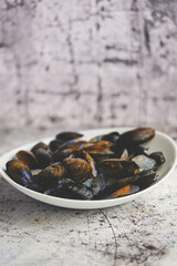 Fresh and raw sea mussels in white ceramic bowl on stone background