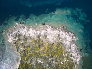 aerial top view of rocky island coastline with  yellow flowers and amazing idyllic blue sea