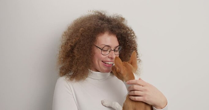Happy curly haired young woman plays with her favorite pet kisses pedigree dog going to have outdoor walk pose in studio against white background. Love between people and animals. Friendship