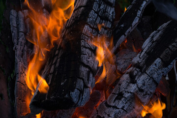 Bonfire fire. Flames from burning wood. quality photo