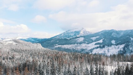 Breathtaking winter scenery of snow covered evergreen forest with mountains in the background during snowfall. High quality photo