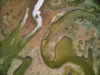 Aerial shot of a  lush coastal wetlands with green red vegetation