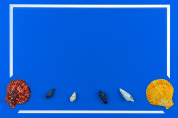 Frame of the seashells on a blue background, flat lay composition with copy space, top view