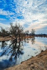Northern landscape in early spring. High water, swampy countryside. Ecological tourism. Trees and blue sky are reflected in the water.