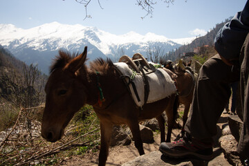 Kasol City in Himachal Pradesh near Parvati River
