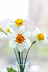 Fototapeta na wymiar Daffodil bouquet on a window sill. Floral greeting card