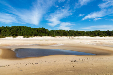 Sand, trees and lake with blue sky