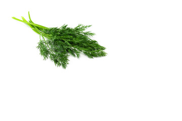 A few sprigs of appetizing, fresh, green dill on a white background, spices