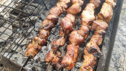 meat on the grill
