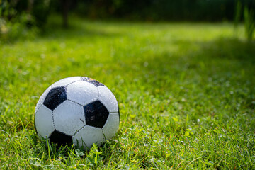 Football lies on wet grass