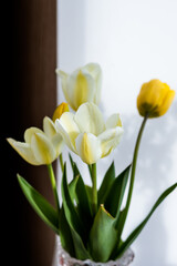 Bouquet of tender white,yellow tulips in vase isolated on blurred background.bunch of fresh spring flowers.Happy easter or happy mothers day concept