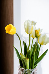 Bouquet of tender white,yellow tulips in vase isolated on blurred background.bunch of fresh spring flowers.Happy easter or happy mothers day concept